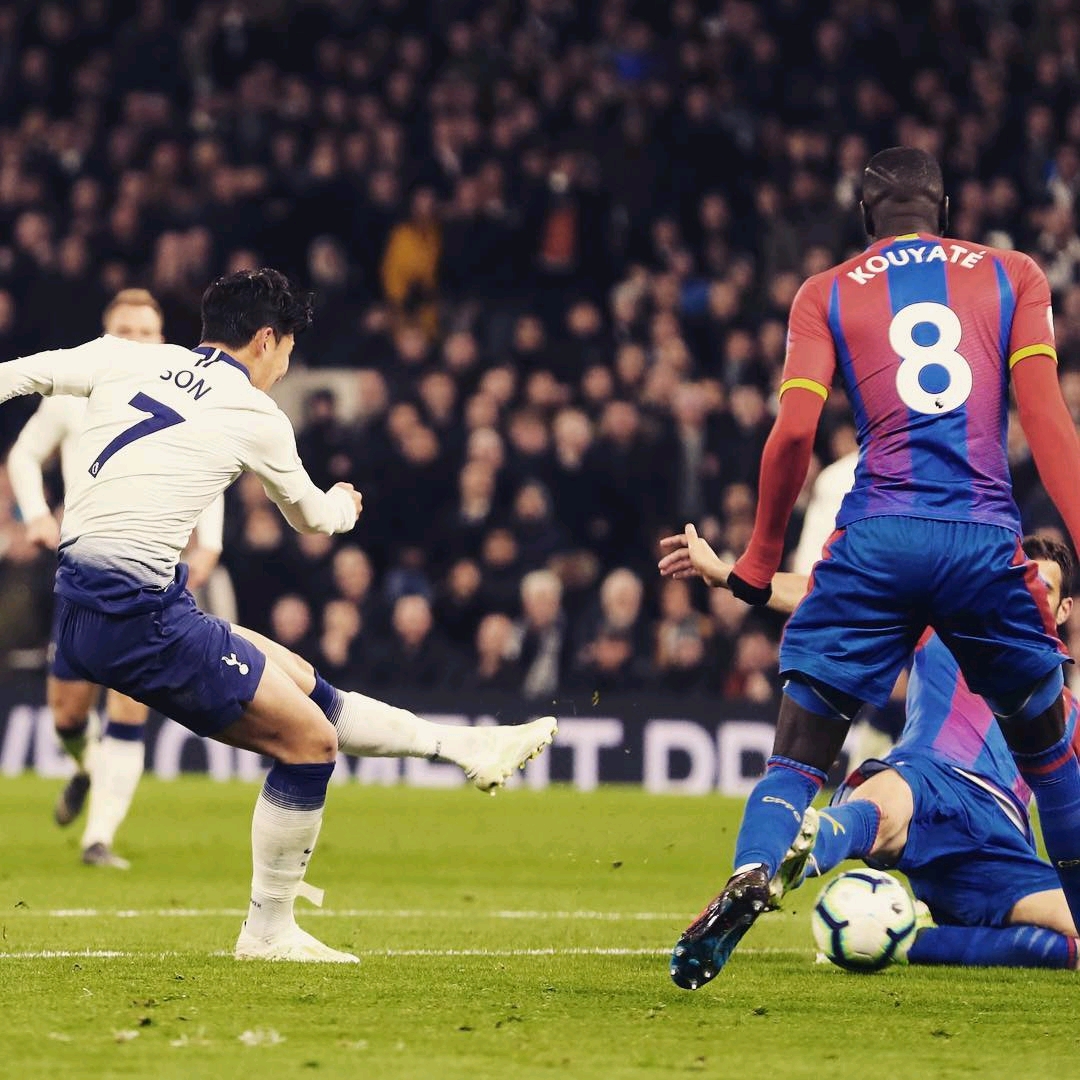 Terry